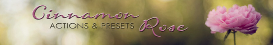 Cinnamon Rose Actions and Presets logo